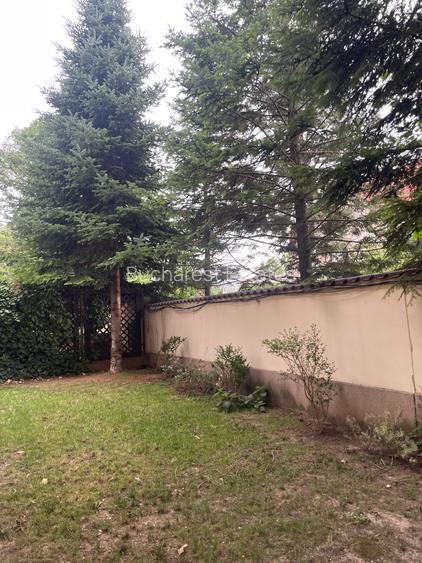 Iancu Nicolae 6 bedrooms villa - 6