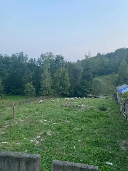 TEREN DE VANZARE 1.688 MP| SULTANU | VISINESTI | DEALURILE SULTANULUI