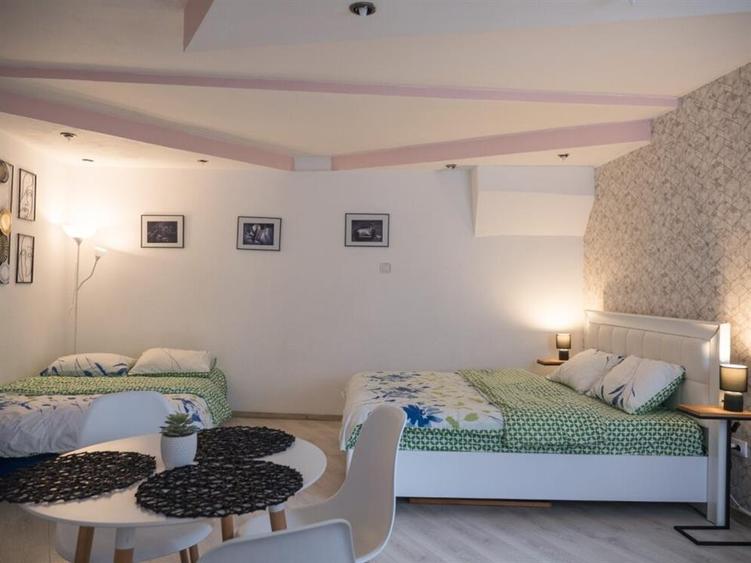 Apartament cu o camera zona Centrala