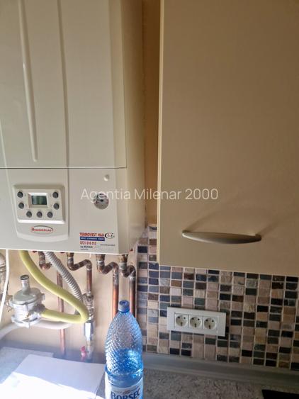 Apartament cochet-Take Ionescu-cu centrala gaz-La prima inchiriere dupa amenajar - 18