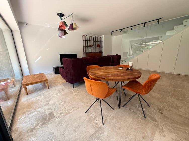 Vila premium - Matei Millo Pipera