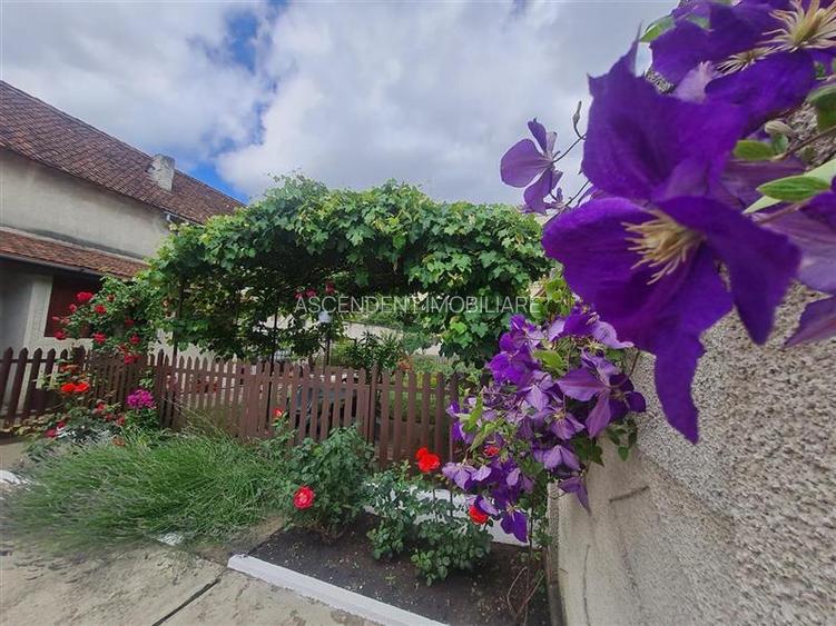 Casa cu vatra traditionala, gradina, garaj, facilitati, Codlea, Brasov - 32