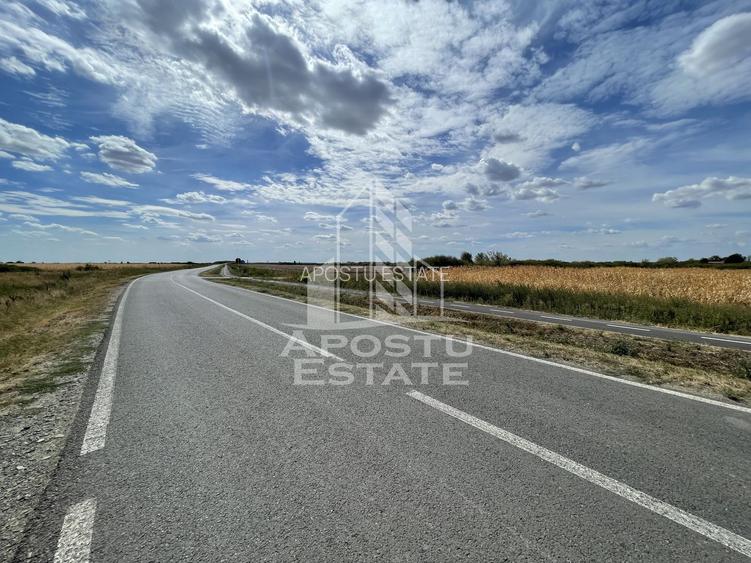 Teren 55.000 mp, front stradal 354 ml, asfalt, Remetea Mare -Ianova. - 3