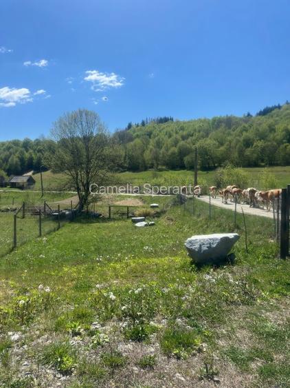 Mai mult decât o cabană - o stare de bine! - 7