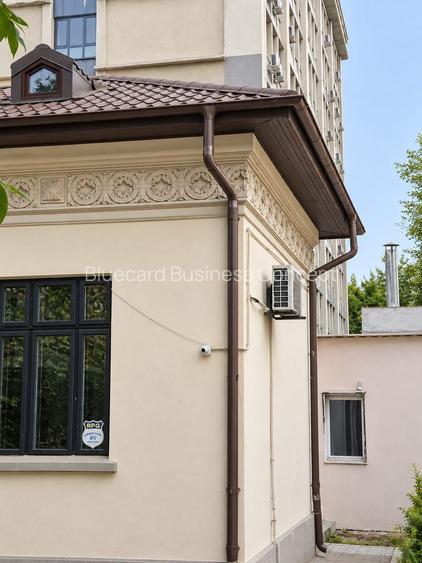 Investment property with character downtown Cismigiu park - 2