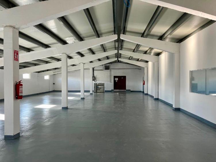 Hala de inchiriat in Satu Mare I Parc Industrial ARELI I 162 mp I 324 mp I900 mp