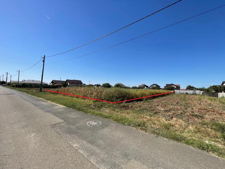 Teren intravilan-Moara Vlasiei 1.008 mp, toate utilitățile, la marginea pădurii