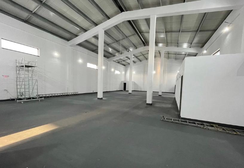 HALĂ MODERNĂ DE ÎNCHIRIAT – CĂCIULAȚI, ILFOV | PRODUCȚIE ȘI DEPOZITARE