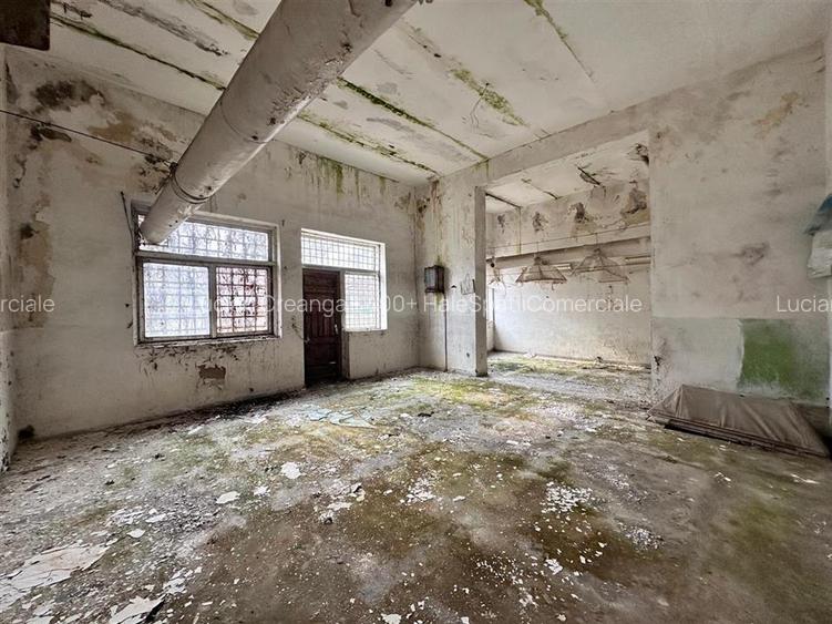 Hala, spatiu comercial, vad, de la 423mp la 1744mp, Vama Albita - 28