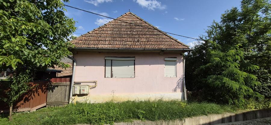 Casa de vanzare Lunca Tecii  teren 1116 mp