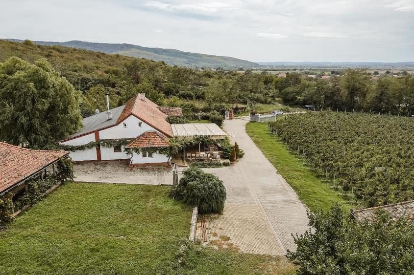 Proprietate istorică , crama +vie DOC + distilerie +loc. evenimente+ 20000 vin - 3