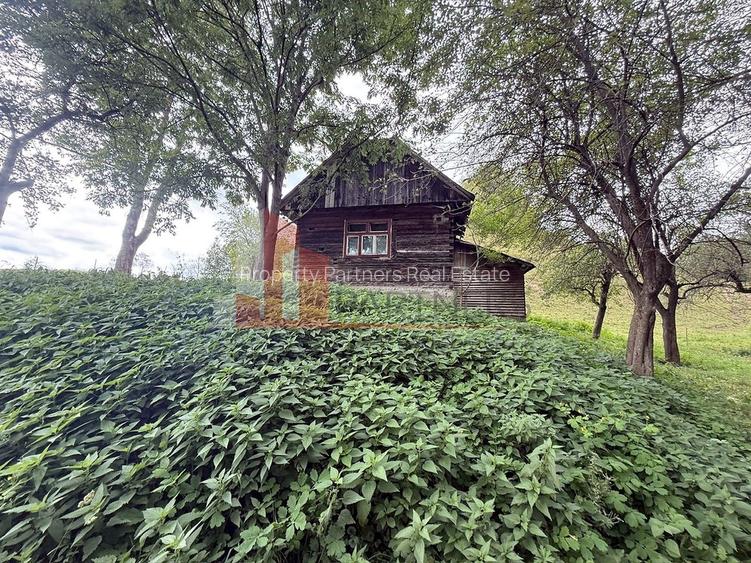 Teren de investiție în Moieciu, lângă Castelul Bran – 11.381 mp, vedere Bucegi - 4