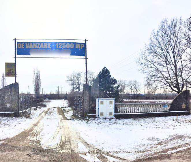 Domeniu privat, 12.500 mp teren, satul Viișoara - Târgoviște