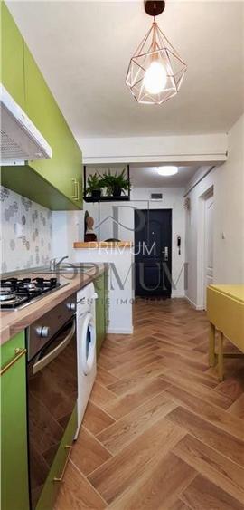 Sagului - 2 Camere - Parter -Renovat - 6