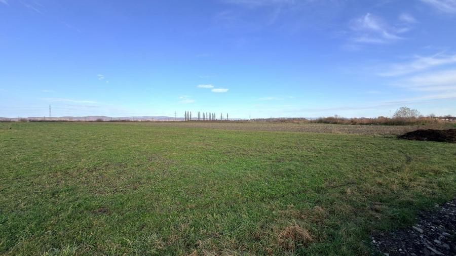 Teren Extravilan 15.000 mp Prejmer