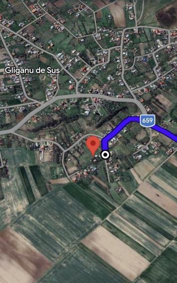 Teren intravilan 6500 mp- Gliganu de Sus - Rociu