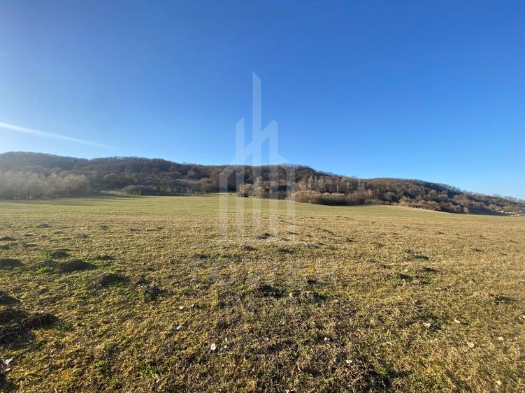 Teren de 7.500 mp de vânzare în Bradu, Avrig-COMISION 0% – lângă râul Olt.