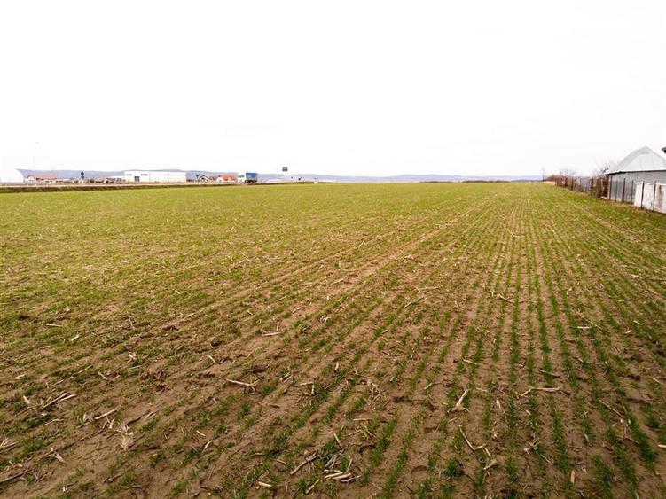 RECO Teren intravilan in Cheriu 2000 mp