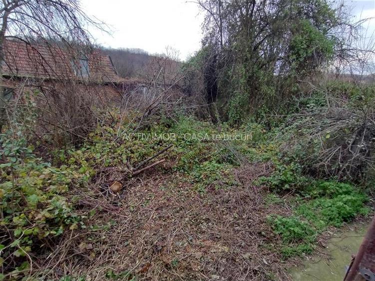 Bogodint, Casa cu 4 Hectare Teren, Pret Negociabil - 32