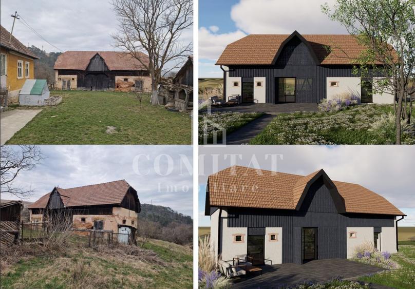 Teren intravilan 5.920 mp cu proiect | Cacova Ierii