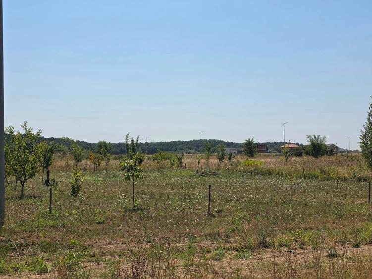 Teren proprietar Pădurea Bistra