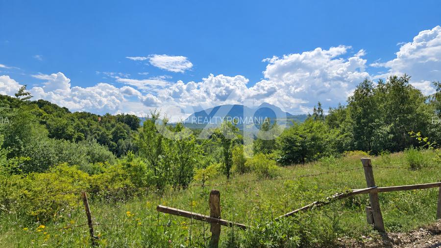 Teren de 4000 mp cu potențial - 4