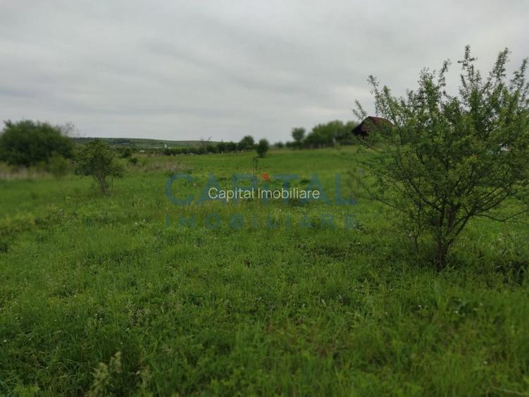 Comision 0%! Oportunitate, teren intravilan, 800 mp Masterplan, Sopor - 2