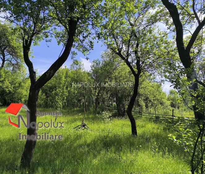 ✨ Teren cu potențial rezidențial și turistic | 3.000 m² | Exclusivitate Napolux - 4