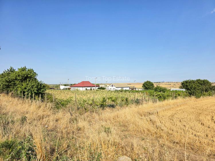 Ferma si casa de vanzare - teren intravilan, la 20min de Constanta! - 14