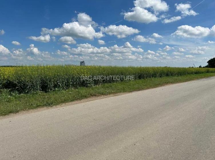 Moara Vlasiei - zona industriala, 17.000 mp - 5