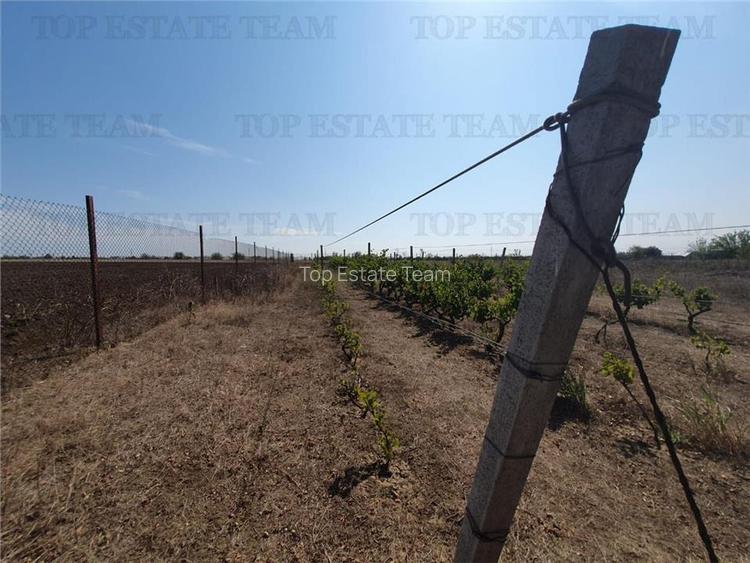 Teren intravilan agricol si teren curti constructii Lot 2 Parcela A326/49 - 7