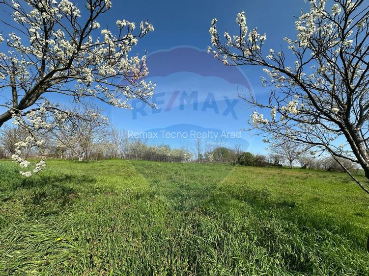 Vanzare casă noua in loc Felnac cu teren de 1440mp - 4