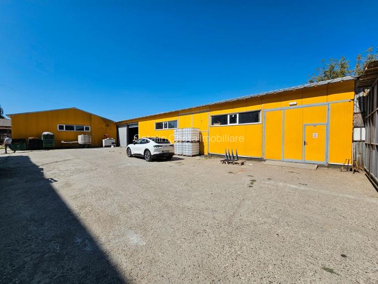 Hale Industriale 5065 mp de vanzare Str. Bradului - Bacau - 10