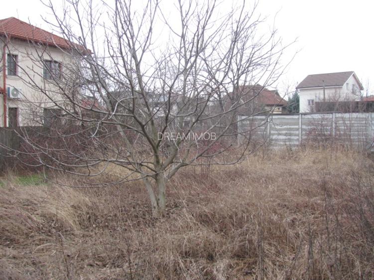 Prelungirea Ghencea - Cartierul Latin, Strada Verii - 4