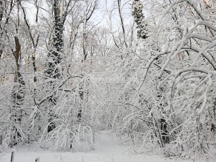 Padurea Baneasa | 4 Camere | X3 Bai | Garaj | 228 MP | Terase 100 MP | - 13