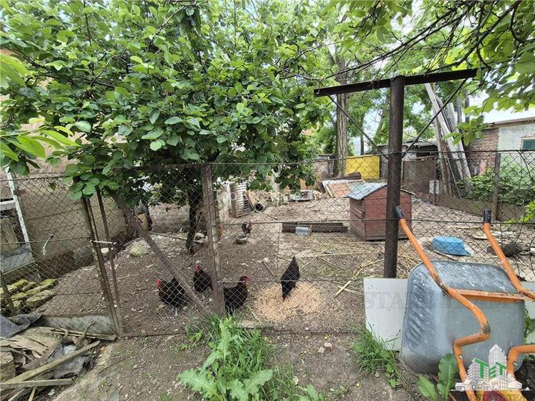 Casa Chiajna 4 camere plus teren 446mp - 8