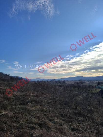 Teren de vânzare în Fântânele – locație excelentă! - 6