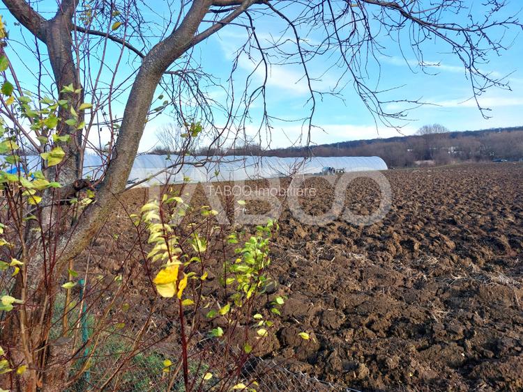 Teren intravilan 1687 mp pentru cabana zona de gradini Cisnadie - 6