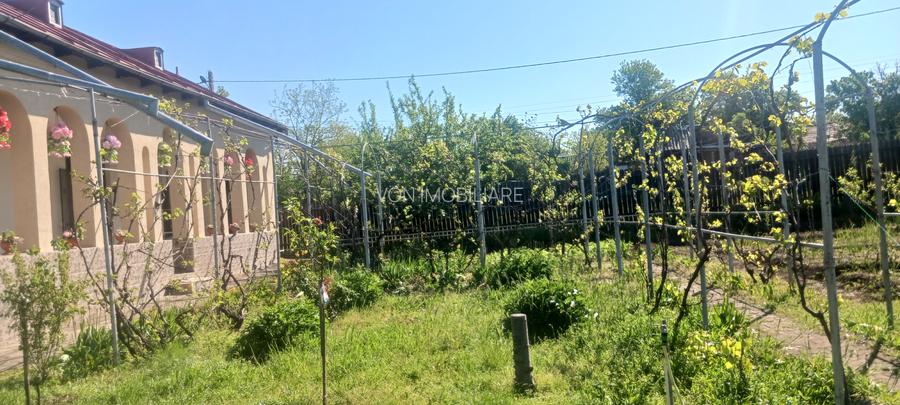 Casa de vanzare Comuna Viisoara-Judetul Teleorman - 17