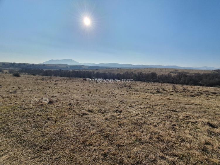 Teren Codlea – Vladeni zona de case cu Puz - 6