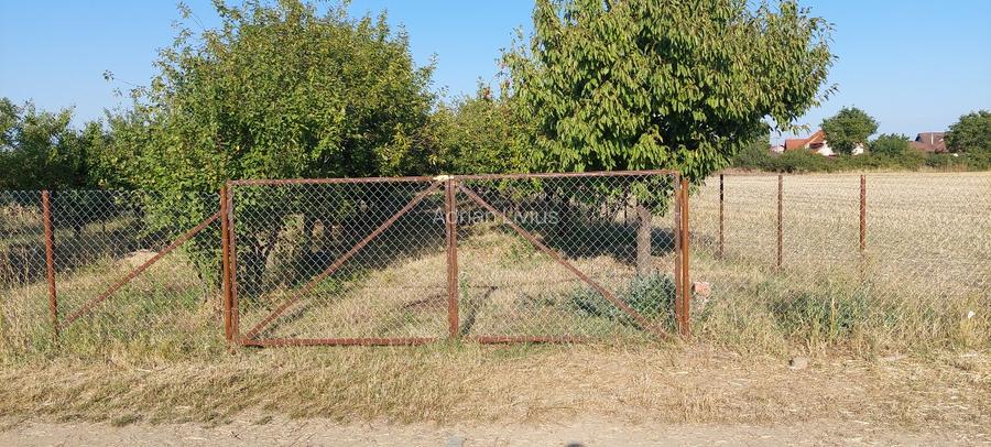 Teren intravilan in Sag jud. Timis - 2