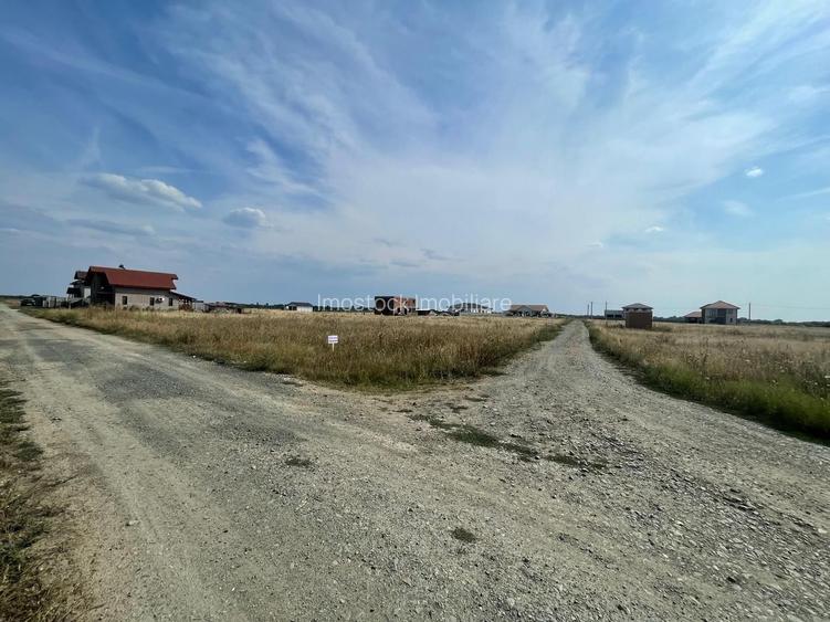 Teren Remetea Mare 720mp -2 fronturi I - 7