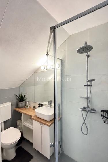 Casa - Apartament de inchiriat ultracentral - Pietonala N Balcescu - 13