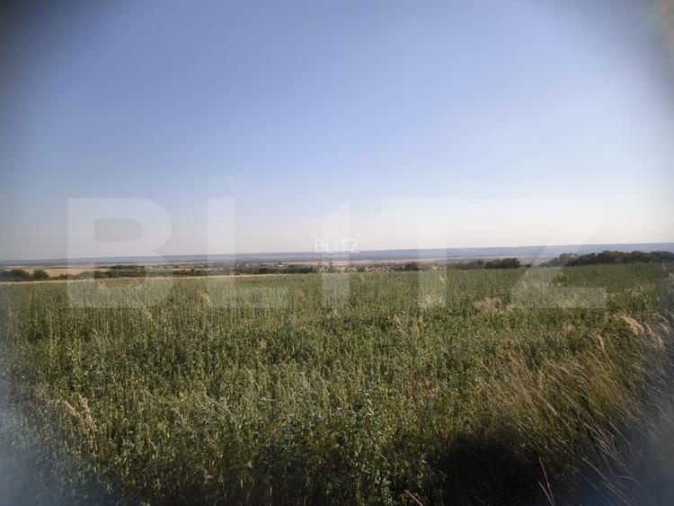 Teren 30.350 mp (600 mp intravilan) – ideal investitie, Carcea Metro  - 3