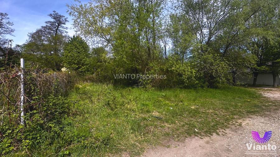 TEREN INTRAVILAN  PREMIUM 617MP | PADUREA DUMBRAVA - 5