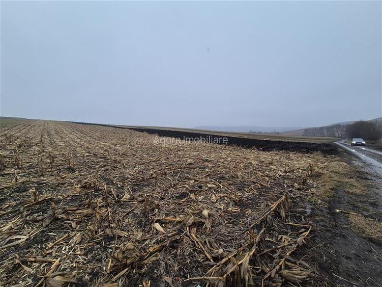 Teren intravilan Moara Carp - zona Ponoare - 3