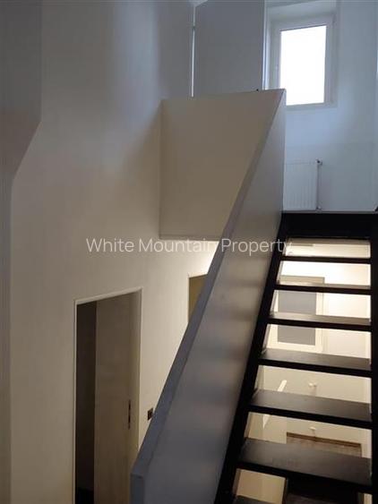 Spatiu comercial 300 mp, inchiriere/vanzare, Eminescu - 12