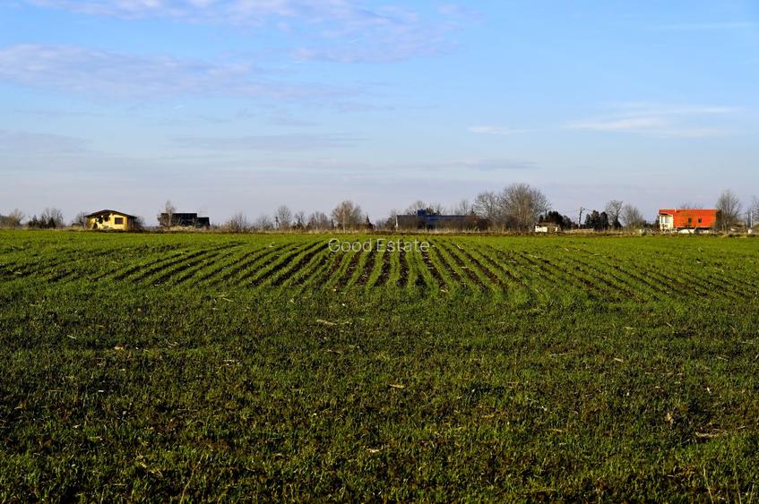 TEREN intravilan 740mp Izvorani Ilfov Delta Snagov la 100 metri de lac - 12