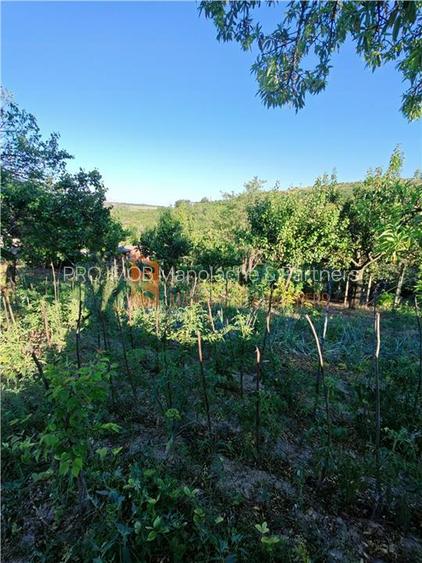 EXCLUSIVITATE! Casa+teren si cabana de lemn zona Naeni - 23