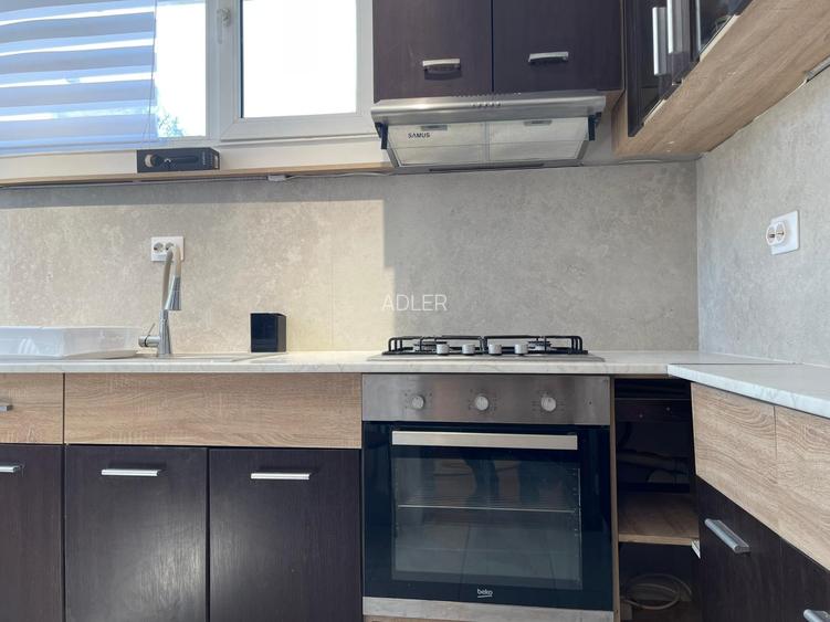 Zona Praga, apartament in vila cu gradina si garaj - 13